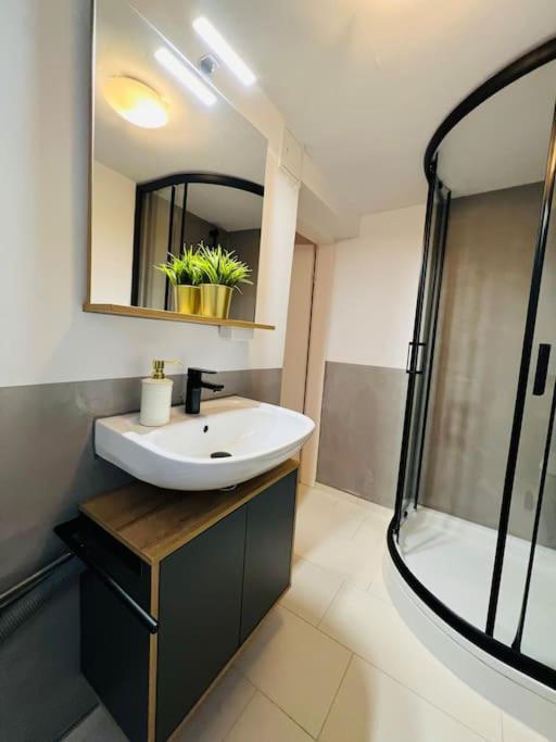 שוואבאך Apartment Rheingold מראה חיצוני תמונה